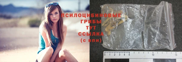 ПСИЛОЦИБИНОВЫЕ ГРИБЫ Верхнеуральск