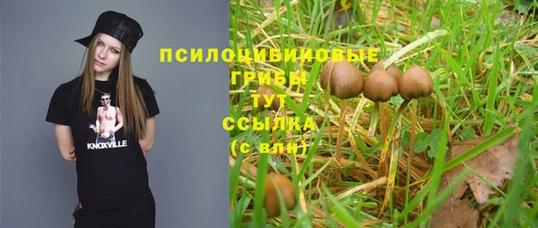 таблы Верея