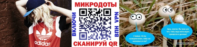 Галлюциногенные грибы Psilocybe  Магнитогорск 